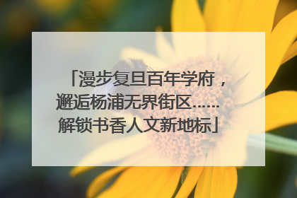 漫步复旦百年学府，邂逅杨浦无界街区……解锁书香人文新地标