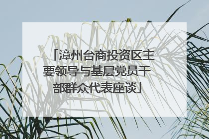 漳州台商投资区主要领导与基层党员干部群众代表座谈