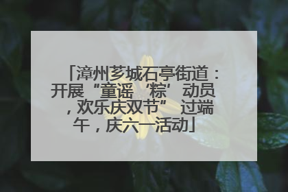 漳州芗城石亭街道：开展“童谣‘粽’动员，欢乐庆双节” 过端午，庆六一活动
