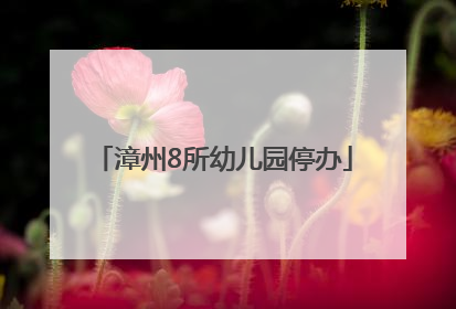 漳州8所幼儿园停办