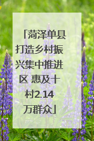菏泽单县打造乡村振兴集中推进区 惠及十村2.14万群众