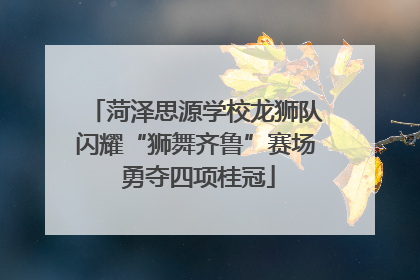 菏泽思源学校龙狮队闪耀“狮舞齐鲁”赛场 勇夺四项桂冠