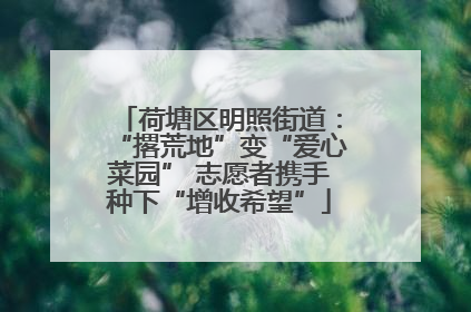 荷塘区明照街道：“撂荒地”变“爱心菜园” 志愿者携手种下“增收希望”