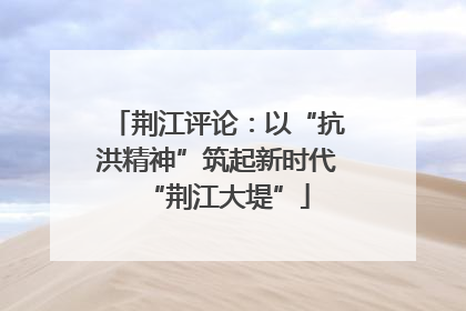 荆江评论：以“抗洪精神”筑起新时代“荆江大堤”