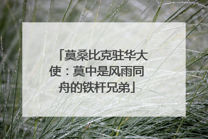 莫桑比克驻华大使：莫中是风雨同舟的铁杆兄弟