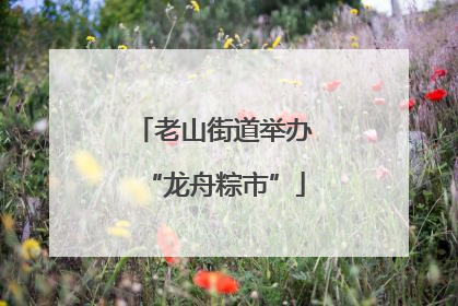 老山街道举办“龙舟粽市”