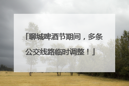 聊城啤酒节期间，多条公交线路临时调整！