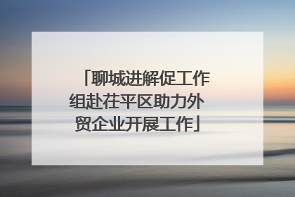 聊城进解促工作组赴茌平区助力外贸企业开展工作