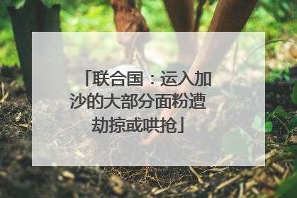 联合国：运入加沙的大部分面粉遭劫掠或哄抢
