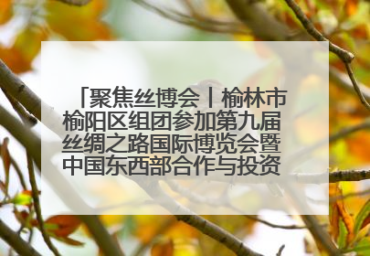 聚焦丝博会丨榆林市榆阳区组团参加第九届丝绸之路国际博览会暨中国东西部合作与投资贸易洽谈会