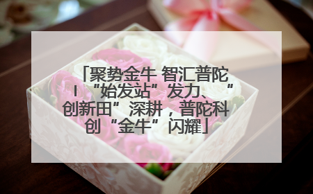 聚势金牛 智汇普陀〡“始发站”发力、“创新田”深耕，普陀科创“金牛”闪耀