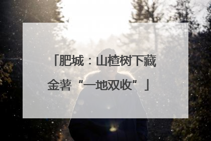 肥城：山楂树下藏金薯“一地双收”