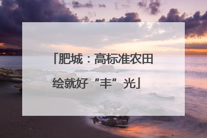 肥城：高标准农田绘就好“丰”光
