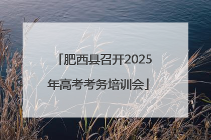 肥西县召开2025年高考考务培训会