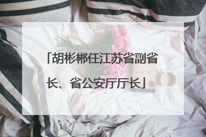 胡彬郴任江苏省副省长、省公安厅厅长