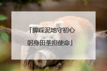脚踩泥地守初心 躬身田垄担使命