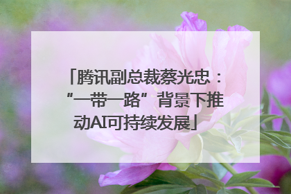 腾讯副总裁蔡光忠：“一带一路”背景下推动AI可持续发展