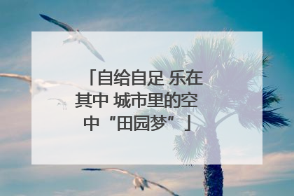 自给自足 乐在其中 城市里的空中“田园梦”