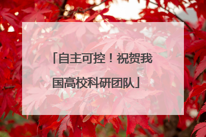 自主可控！祝贺我国高校科研团队