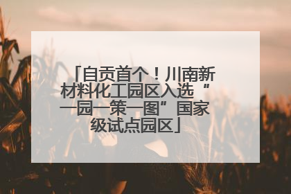 自贡首个！川南新材料化工园区入选“一园一策一图”国家级试点园区