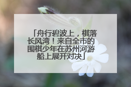 舟行碧波上，棋落长风湾！来自全市的围棋少年在苏州河游船上展开对决