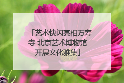 艺术快闪亮相万寿寺 北京艺术博物馆开展文化雅集