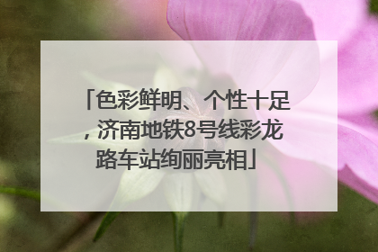 色彩鲜明、个性十足，济南地铁8号线彩龙路车站绚丽亮相