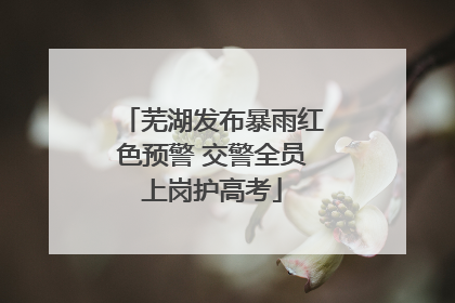 芜湖发布暴雨红色预警 交警全员上岗护高考