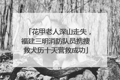花甲老人深山走失，福建三明消防队员携搜救犬历十天营救成功
