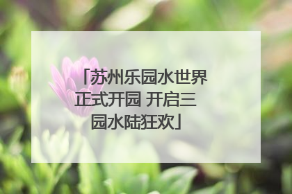 苏州乐园水世界正式开园 开启三园水陆狂欢