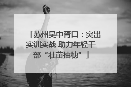 苏州吴中胥口：突出实训实战 助力年轻干部“壮苗抽穗”