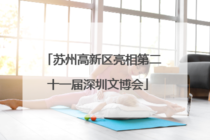 苏州高新区亮相第二十一届深圳文博会