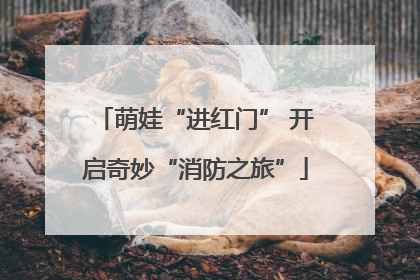 萌娃“进红门” 开启奇妙“消防之旅”