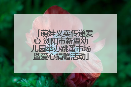 萌娃义卖传递爱心 浏阳市新翼幼儿园举办跳蚤市场暨爱心捐赠活动