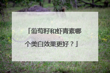 葡萄籽和虾青素哪个美白效果更好？