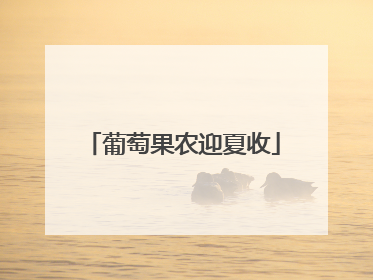 葡萄果农迎夏收
