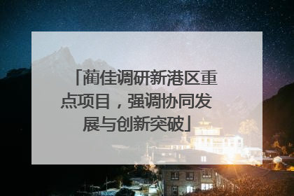 蔺佳调研新港区重点项目，强调协同发展与创新突破