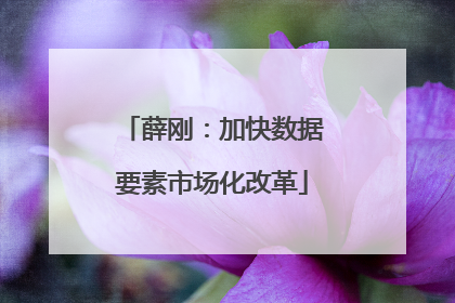 薛刚：加快数据要素市场化改革