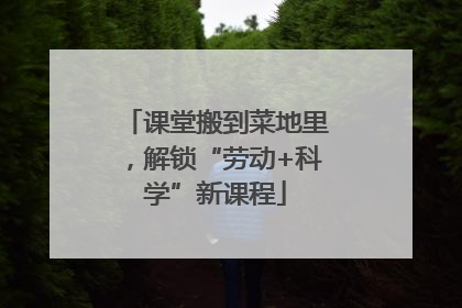 课堂搬到菜地里，解锁“劳动+科学”新课程