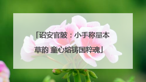 诏安官陂：小手称量本草韵 童心熔铸国粹魂