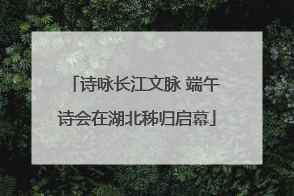 诗咏长江文脉 端午诗会在湖北秭归启幕