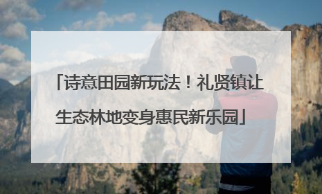 诗意田园新玩法！礼贤镇让生态林地变身惠民新乐园