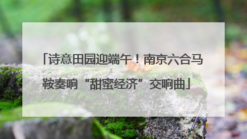 诗意田园迎端午！南京六合马鞍奏响“甜蜜经济”交响曲