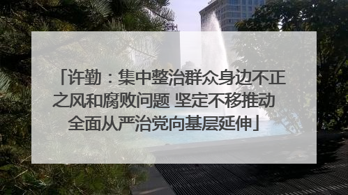 许勤：集中整治群众身边不正之风和腐败问题 坚定不移推动全面从严治党向基层延伸