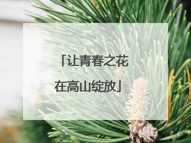 让青春之花在高山绽放