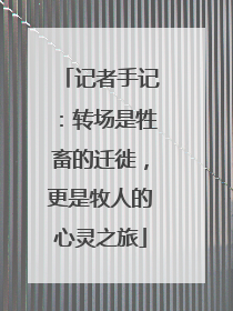 记者手记：转场是牲畜的迁徙，更是牧人的心灵之旅