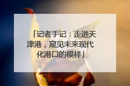 记者手记：走进天津港，窥见未来现代化港口的模样