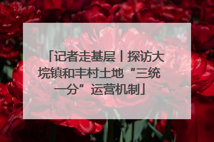 记者走基层丨探访大垸镇和丰村土地“三统一分”运营机制
