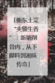 衡东土菜“夹缝生香”：新塘削骨肉，从下脚料到湘味传奇