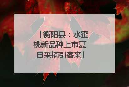 衡阳县：水蜜桃新品种上市夏日采摘引客来